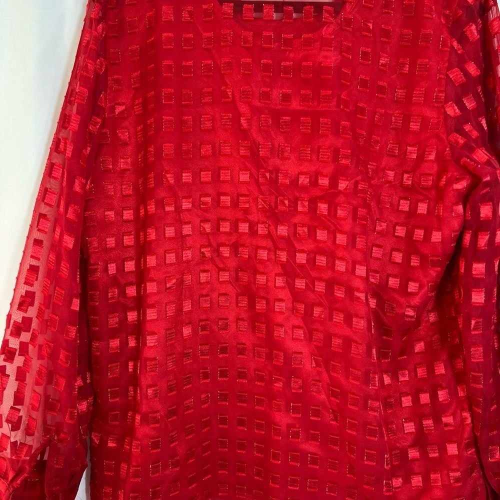 Alia Red Sheer Blouse - Picture 11 of 11